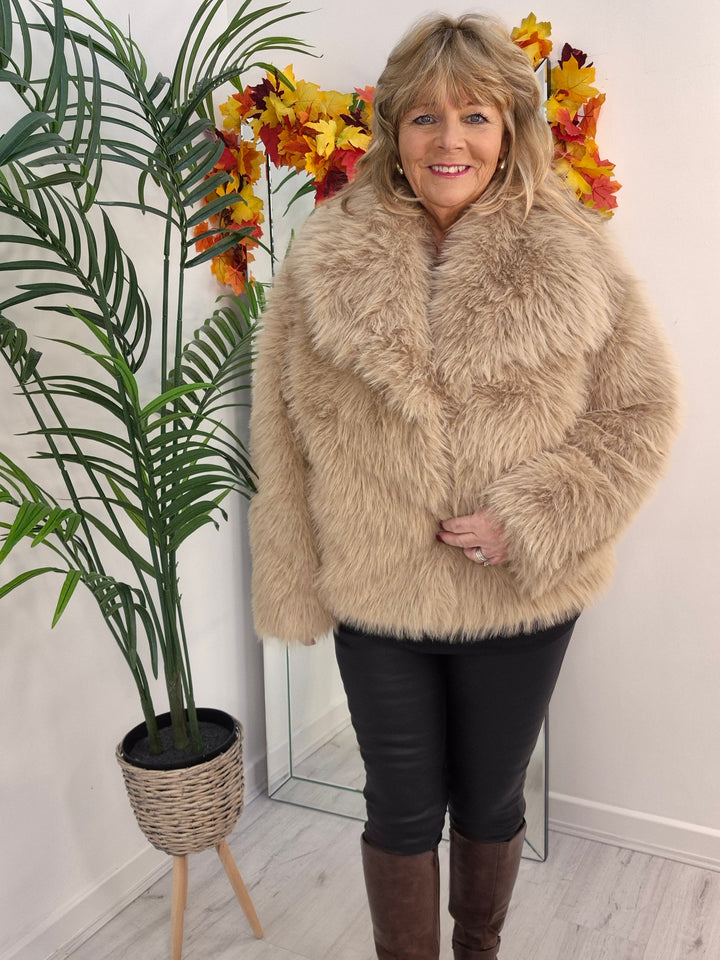 Oslo Faux Fur Shawl Collar Jacket - Light Camel (One Size/Curvy - fitting from Size 14 up to Size 18)