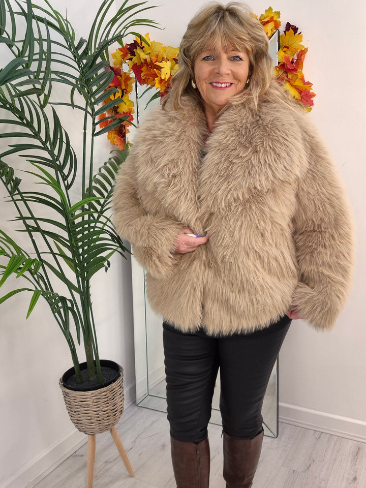 Oslo Faux Fur Shawl Collar Jacket - Light Camel (One Size/Curvy - fitting from Size 14 up to Size 18)