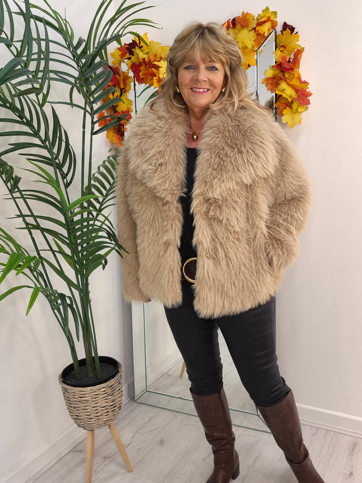 Oslo Faux Fur Shawl Collar Jacket - Light Camel (One Size/Curvy - fitting from Size 14 up to Size 18)