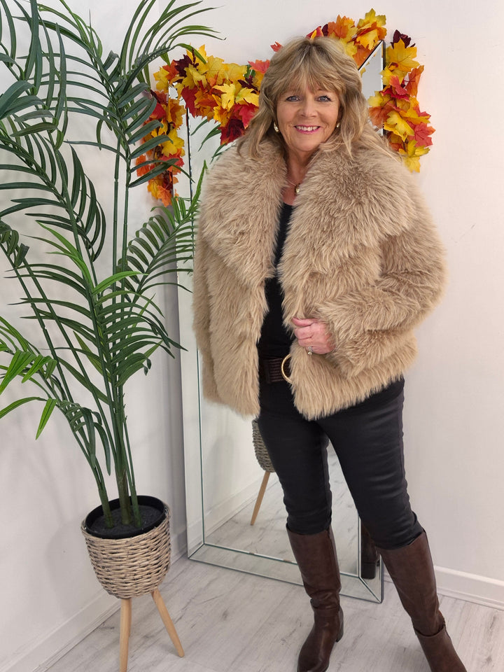 Oslo Faux Fur Shawl Collar Jacket - Light Camel (One Size/Curvy - fitting from Size 14 up to Size 18)