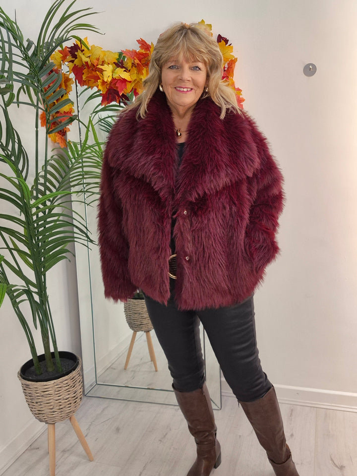 Oslo Faux Fur Shawl Collar Jacket - Wine (One Size/Curvy - fitting from Size 14 up to Size 18)