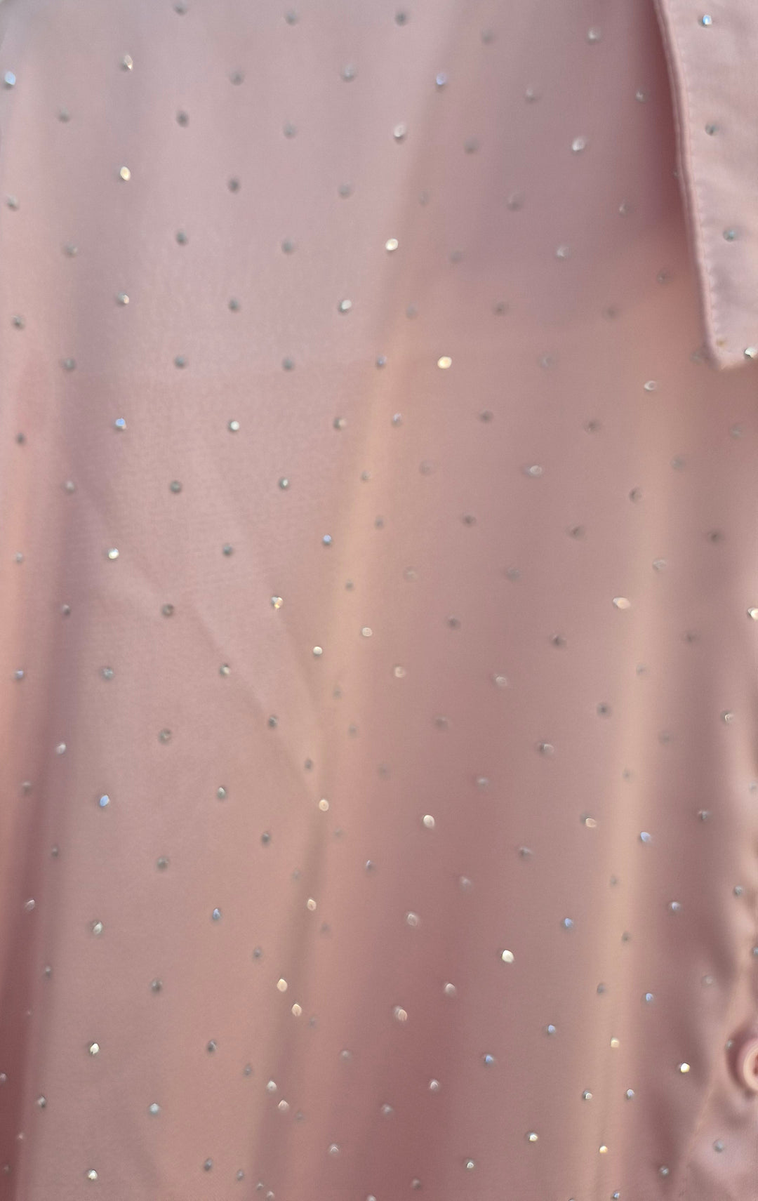 Candice Diamante Sparkly Blouse - Pink (One Size/Curvy, fitting from Size 14/16 up to Size 18)