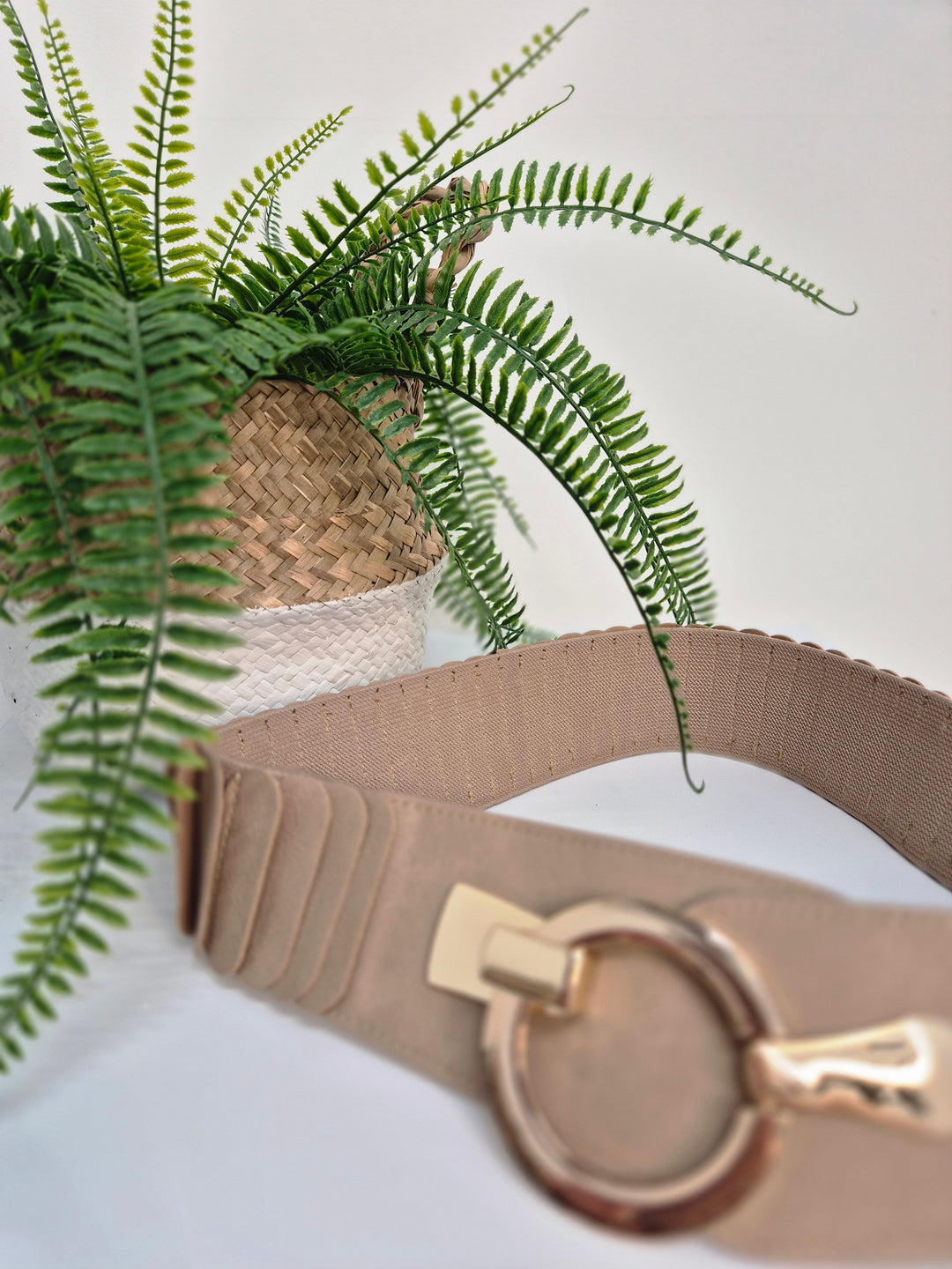 Stretchy Belt with Large Buckle - (choose your Colour) (One Size up to Size 18)