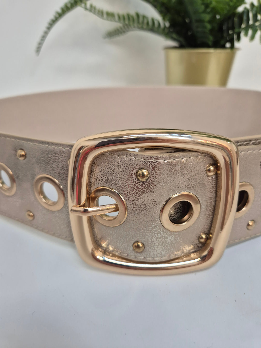 Stretchy Belt with Large Buckle - Gold/Beige