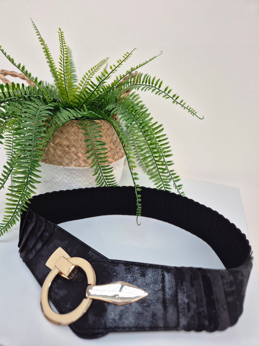 Stretchy Belt with Large Buckle - (choose your Colour) (One Size up to Size 18)