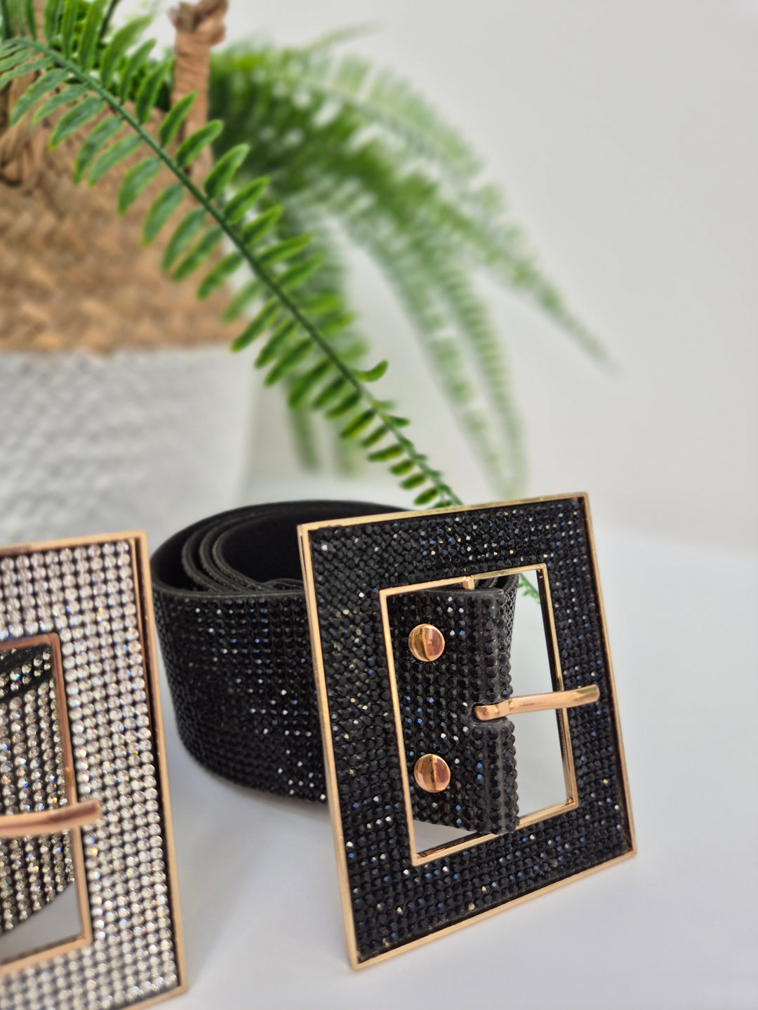 Sparkly Crystal Belt with Large Buckle (choose your Colour & Size)