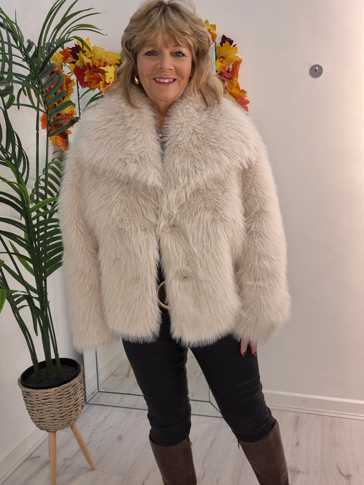 Oslo Faux Fur Shawl Collar Jacket - Creamy Stone (One Size/Curvy - fitting from Size 14 up to Size 18)