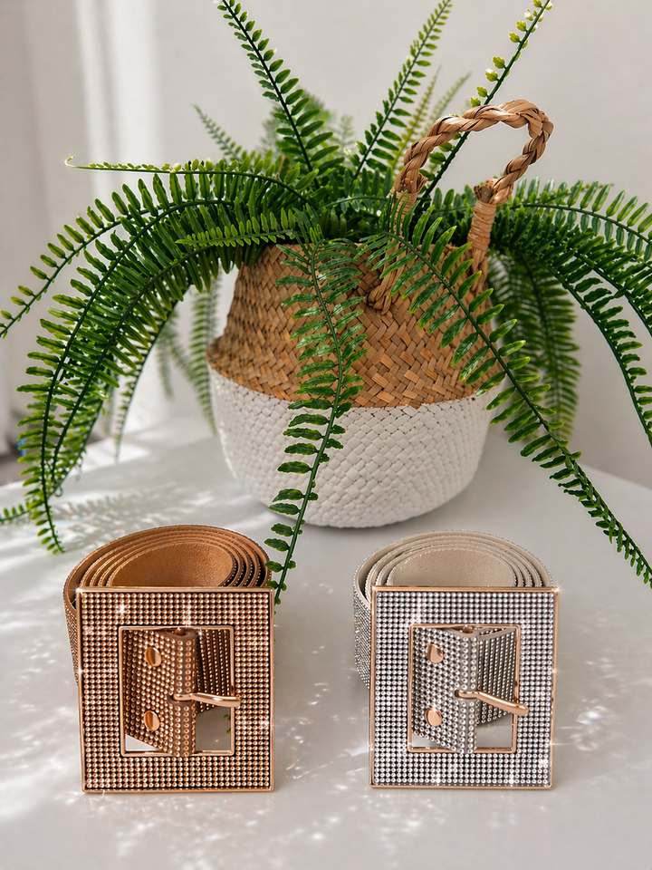 Sparkly Crystal Belt with Large Buckle (choose your Colour & Size)