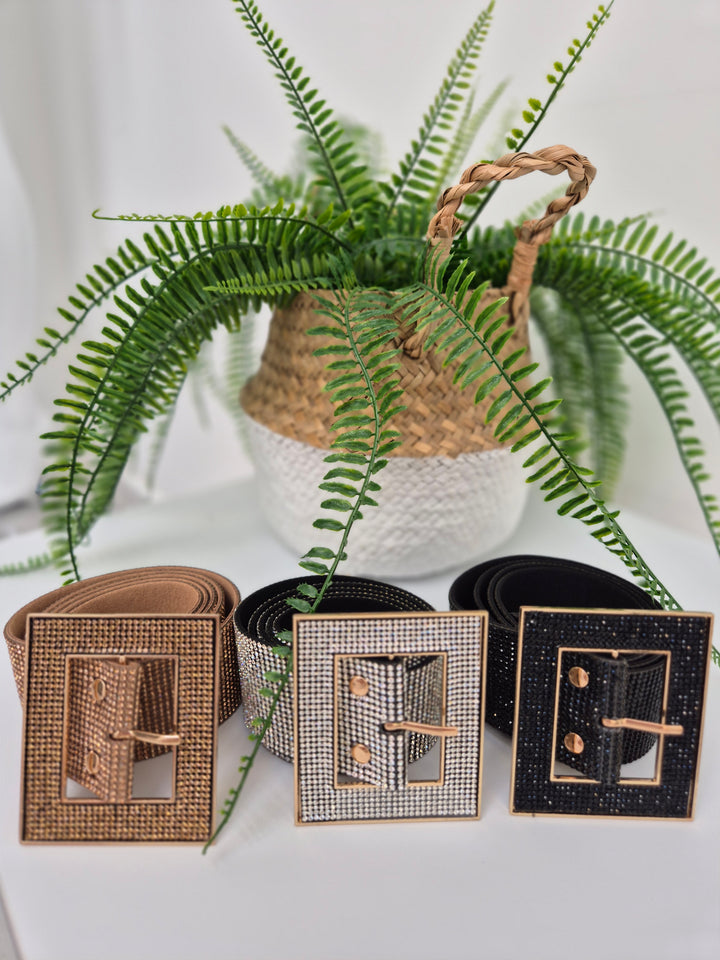 Sparkly Crystal Belt with Large Buckle (choose your Colour & Size)