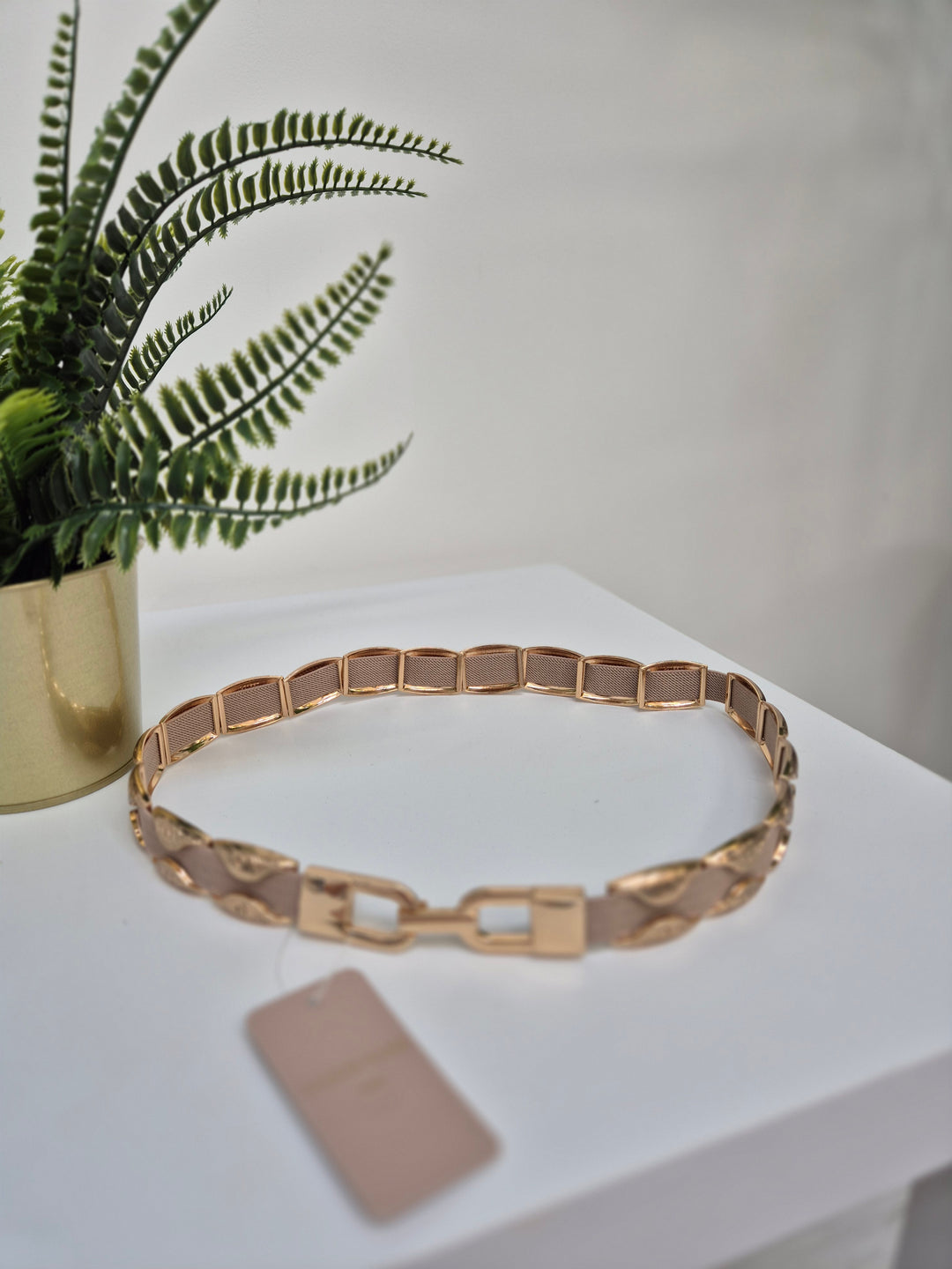 Stretchy Belt (Gold Tone) - (choose your Colour/Style)