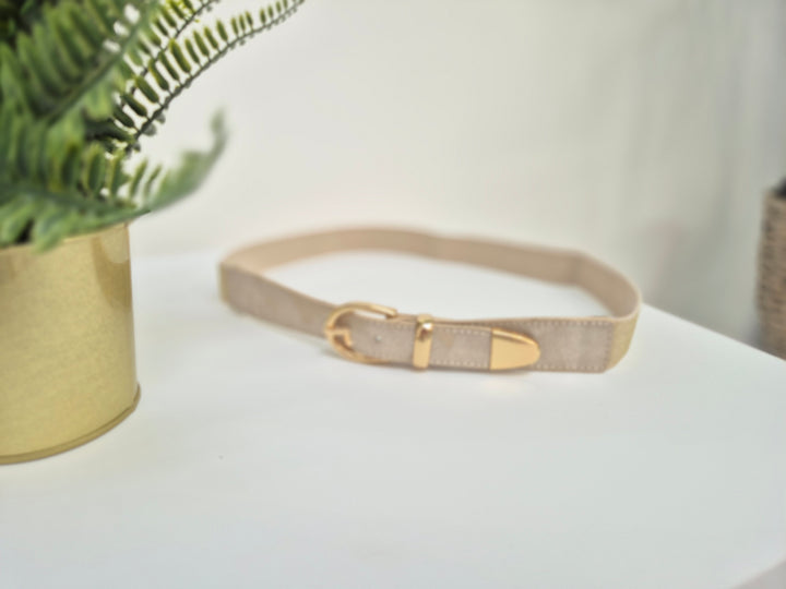 Stretchy Belt (Gold Tone) - (choose your Colour/Style)