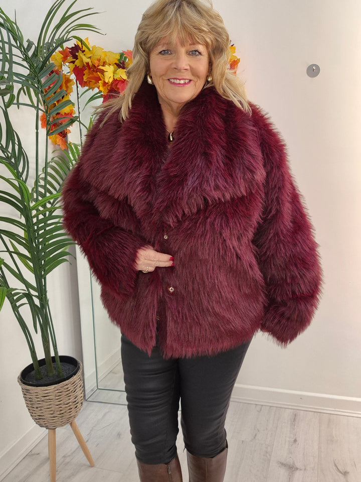 Oslo Faux Fur Shawl Collar Jacket - Wine (One Size/Curvy - fitting from Size 14 up to Size 18)