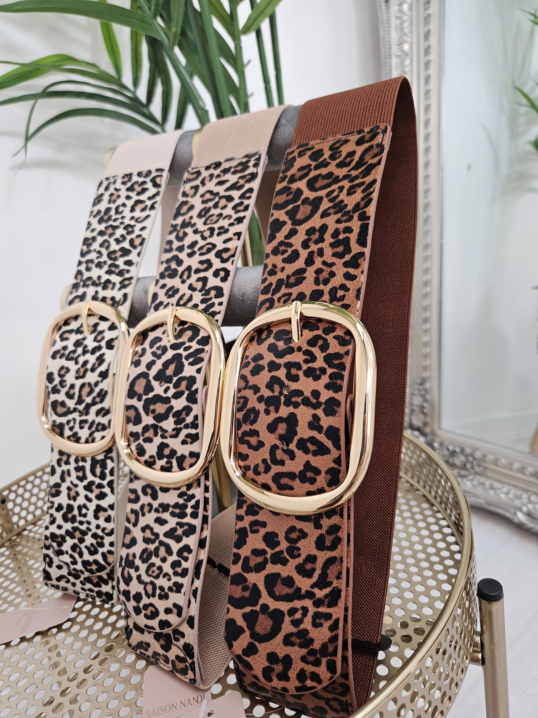 Stretchy Leopard Print Belt Choose your colour Queen Of Fashion