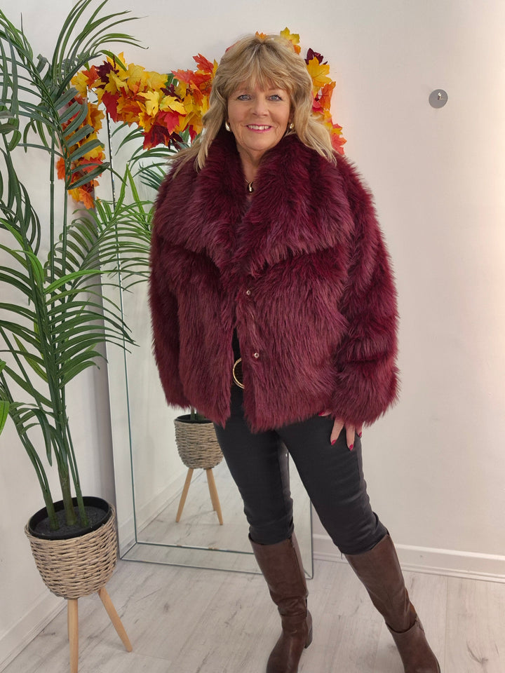 Oslo Faux Fur Shawl Collar Jacket - Wine (One Size/Curvy - fitting from Size 14 up to Size 18)